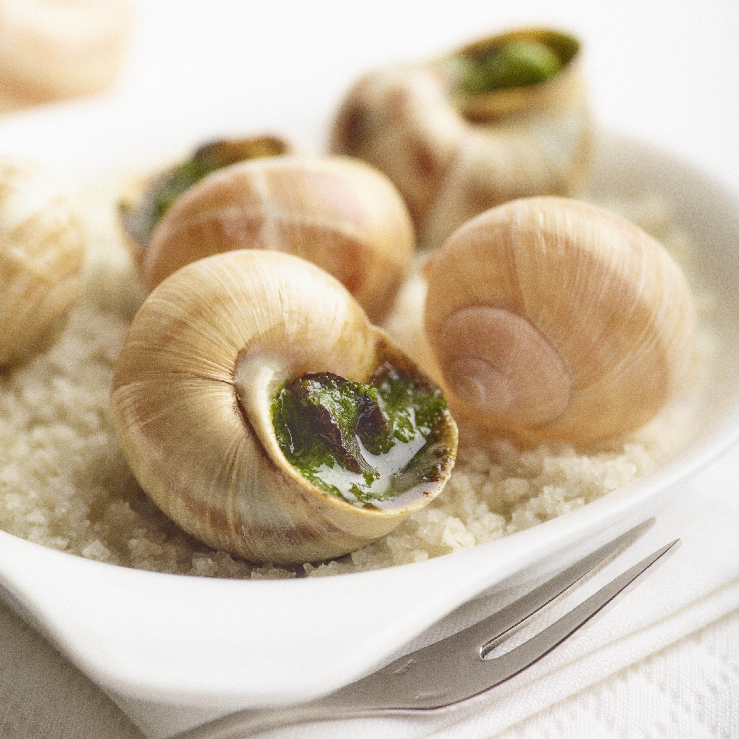 image de l'actualités : Menu de Pâques autour de la truffe et de l’escargot