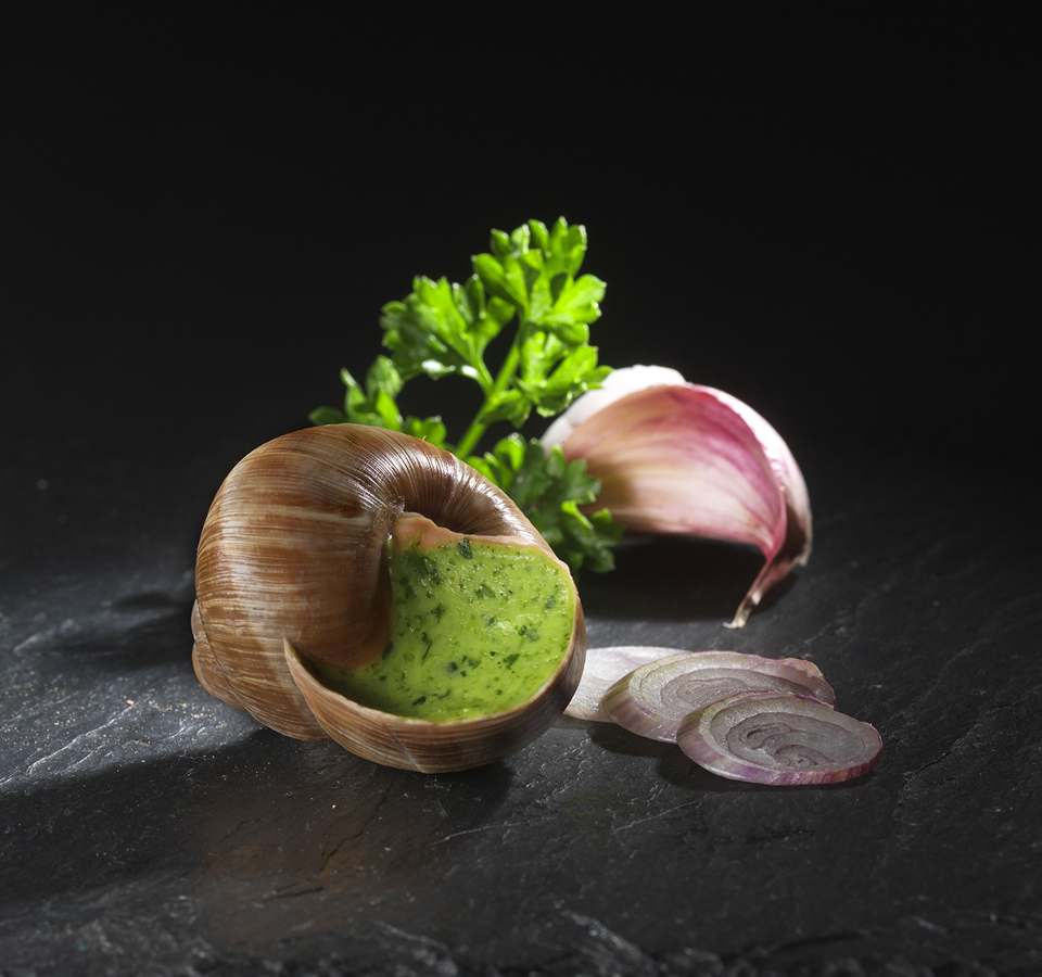 header-escargot