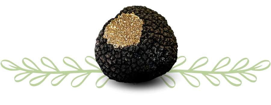 photo-detail-truffe