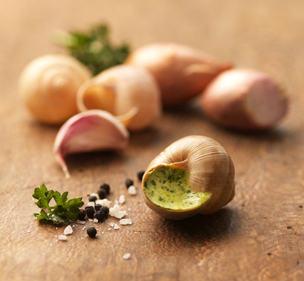 photos-escargots