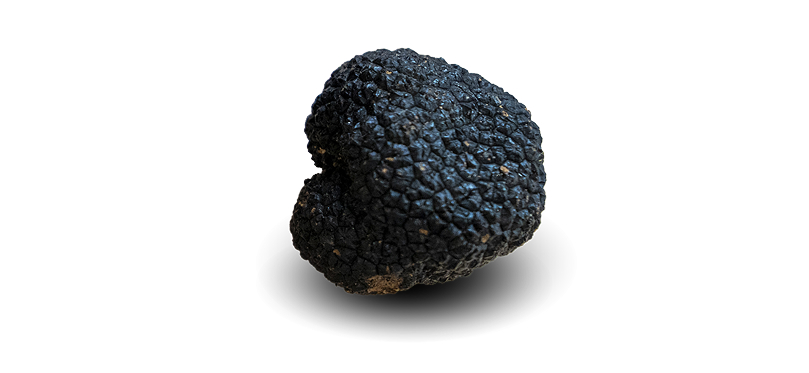 truffe ete